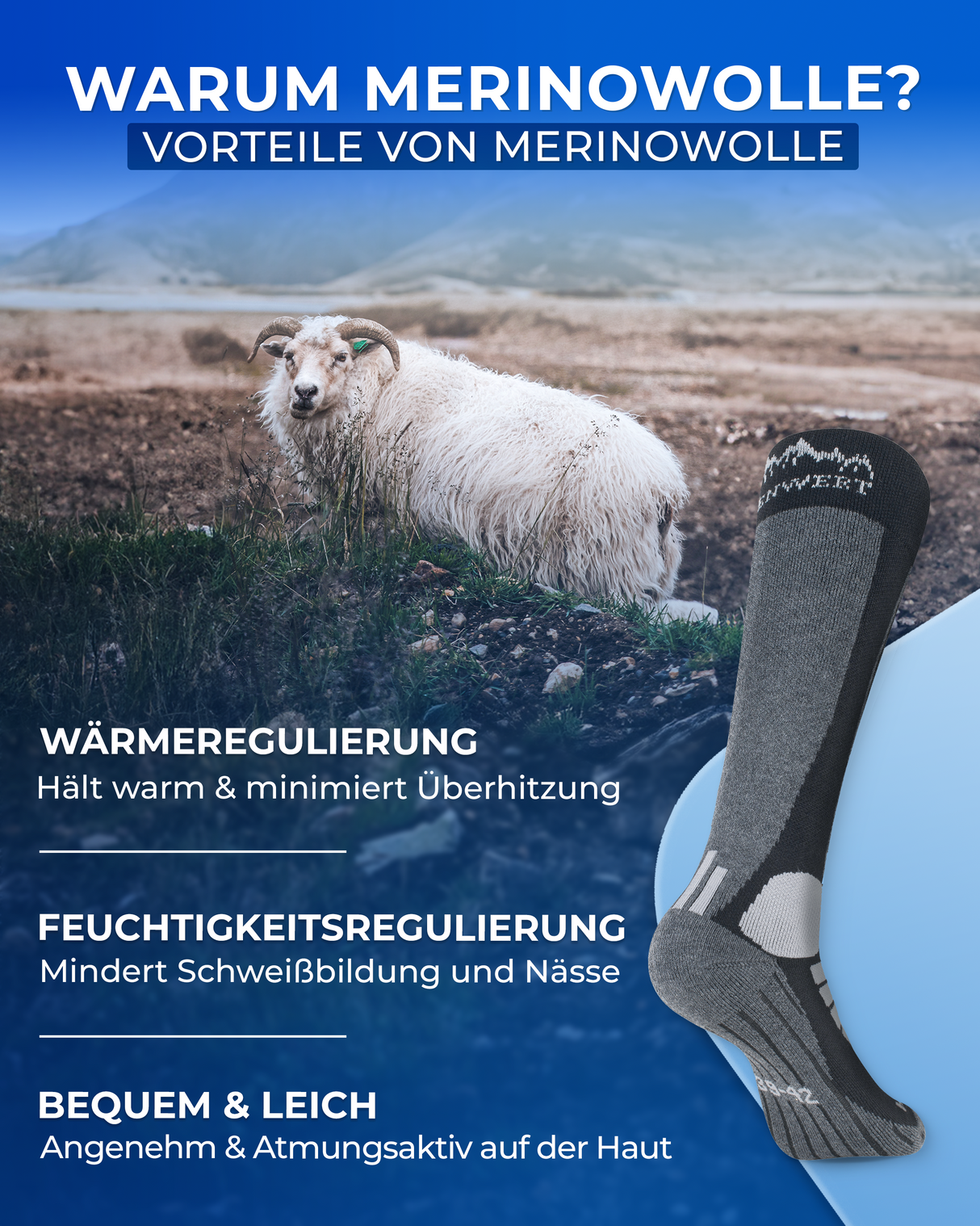 Skisocken Merino 2 Paar