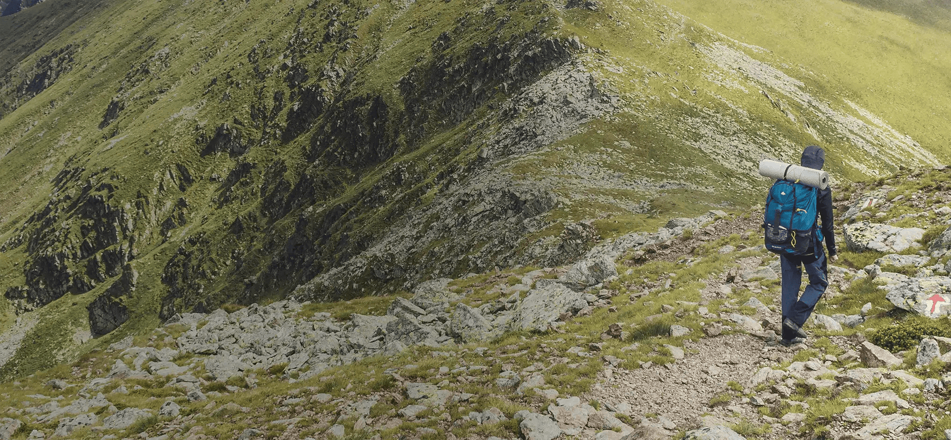 Sparpakete - ALPENWERT