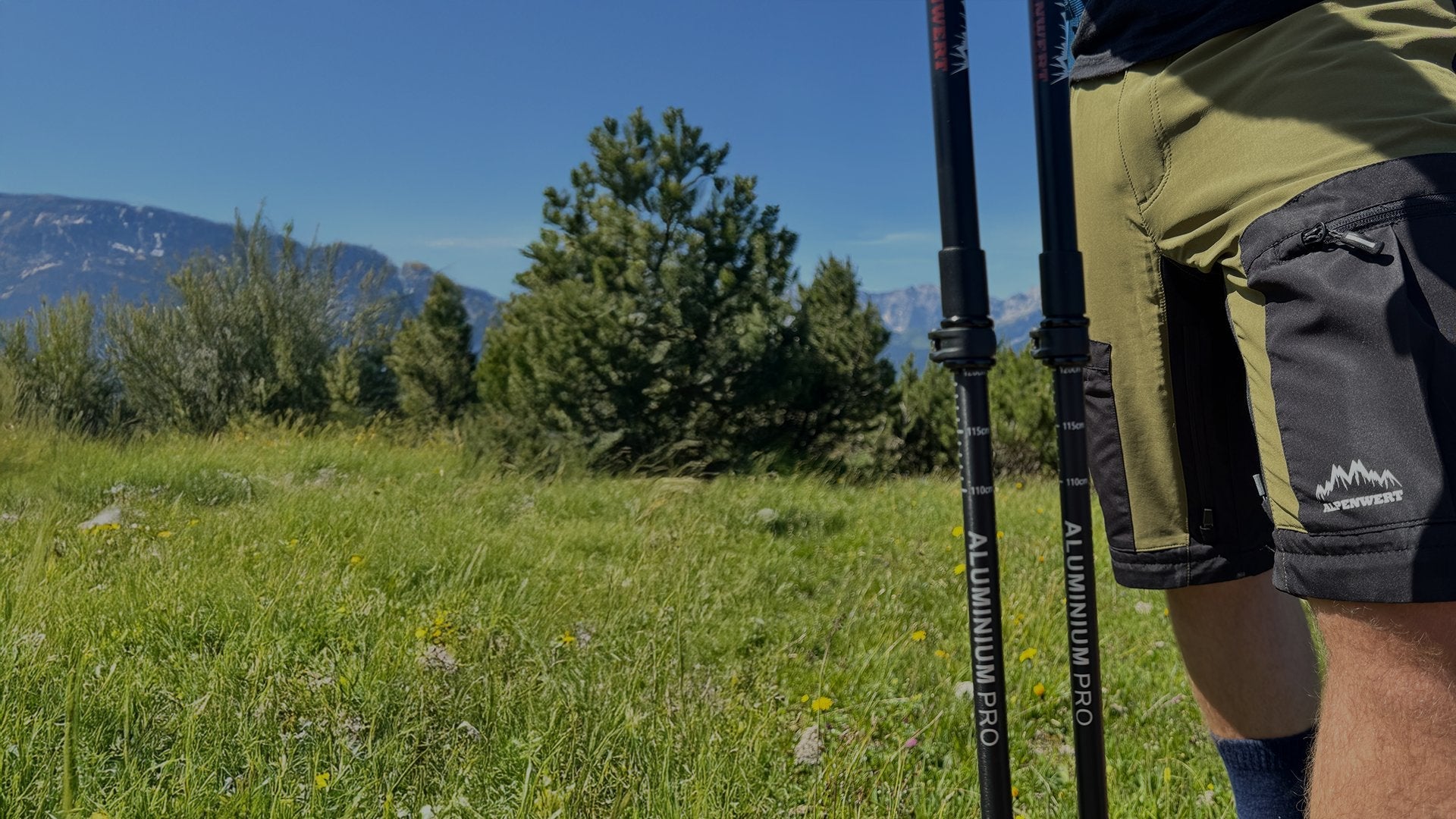 Übersicht Wanderstöcke - ALPENWERT