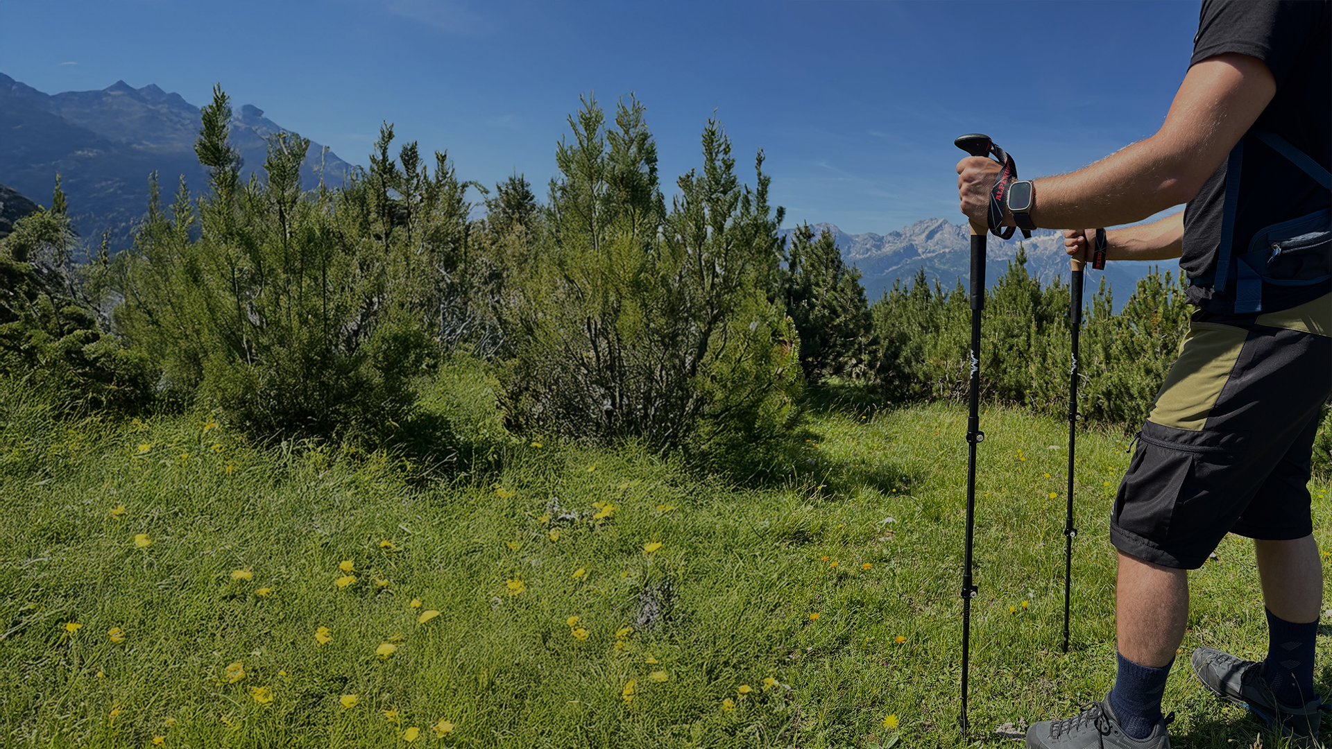 Wanderstöcke Zubehör