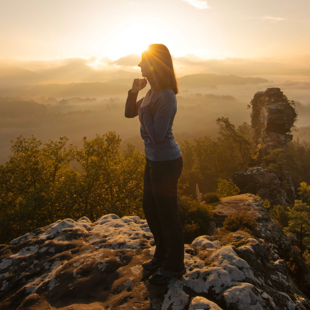 Langarmshirt Damen 100% Merino mit Zip