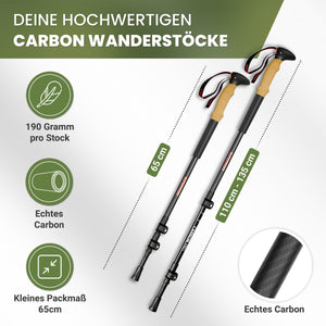 Teleskop Wanderstöcke