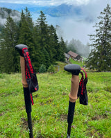 Teleskop Wanderstöcke
