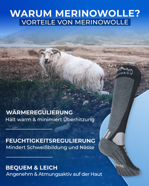 Skisocken Merino 2 Paar