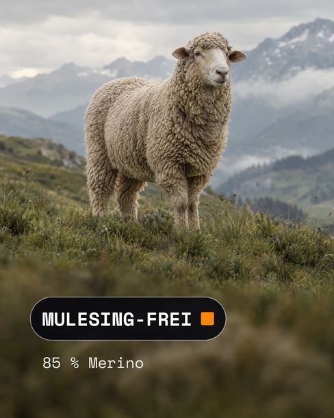 Merinoschaf auf einer Bergwiese: mulesingfreie Wolle