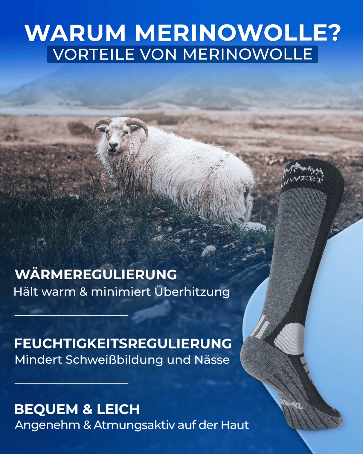 Skisocken Merino 2 Paar - ALPENWERT